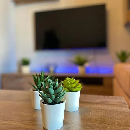 Apartment Luxury 10' From The Center